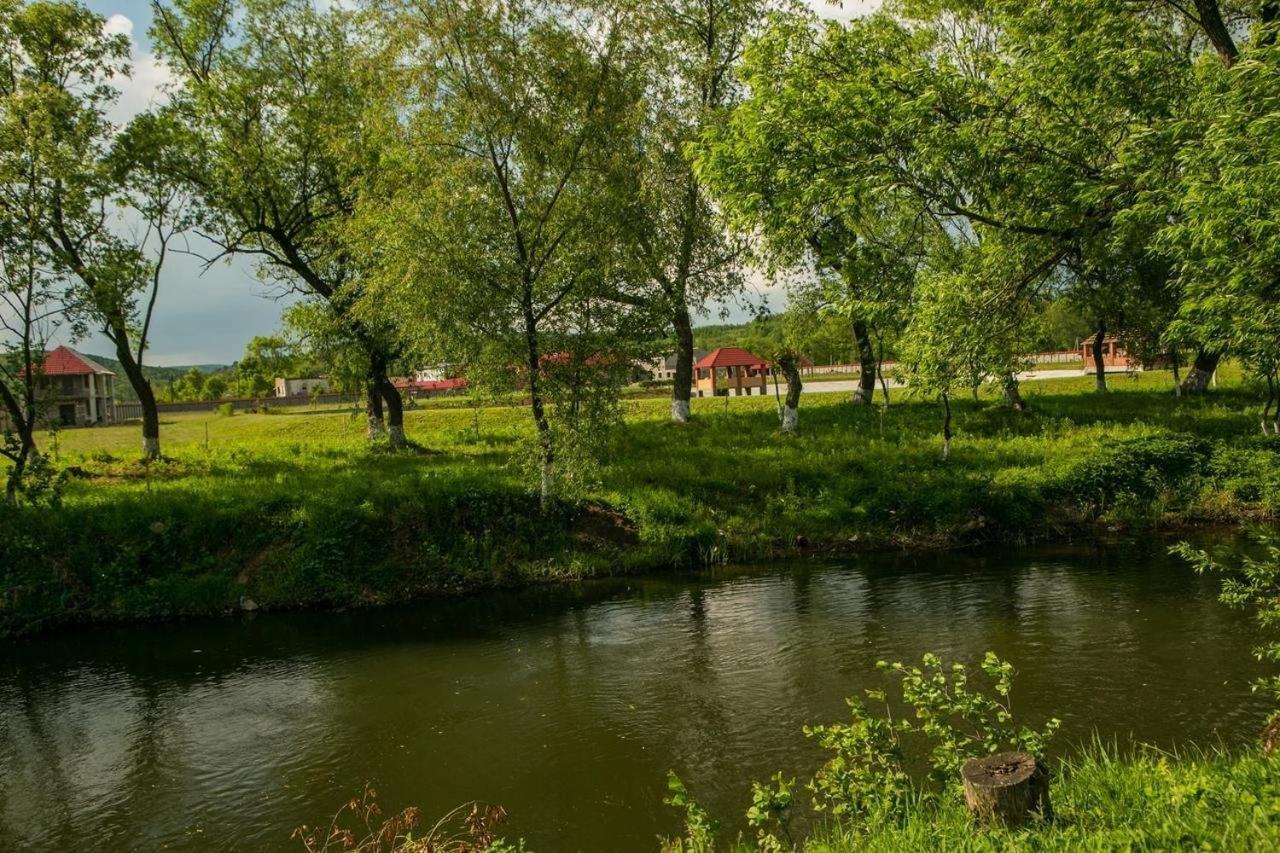 Illara Spa Hotel Irshava Eksteriør bilde
