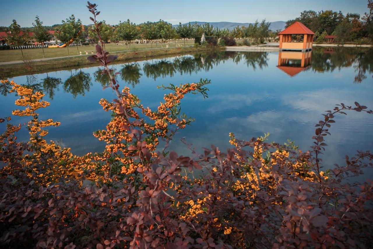 Illara Spa Hotel Irshava Eksteriør bilde